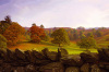 Chris Simpson art print