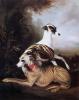 Bernard de Claviere art print