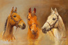 Susan Crawford art print