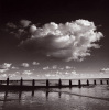 Bill Philip art print