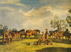 Sir Alfred Munnings art print