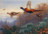 Archibald Thorburn art print