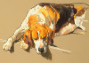 Andre Pater art print