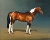 Susan Crawford art print
