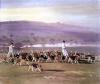 Sir Alfred Munnings art print