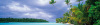 Peter Adams art print