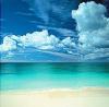 Chris Simpson art print