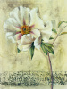 Dennis Carney art print
