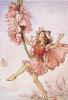 Cicely Mary Barker art print