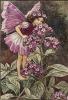 Cicely Mary Barker art print