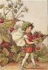 Cicely Mary Barker art print
