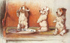 Cecil Aldin art print