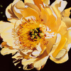 Jennifer Harmes art print
