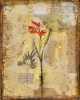 John Douglas art print