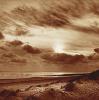 Bill Philip art print