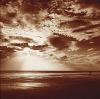 Bill Philip art print