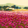 Hazel Barker art print