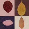 Julie Lavender art print