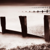 Bill Philip art print