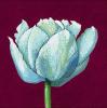 Kate Mawdsley art print