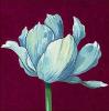 Kate Mawdsley art print