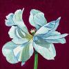 Kate Mawdsley art print