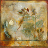 John Douglas art print