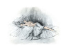 John Rose art print