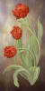 Jan Sacca art print