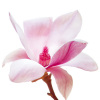 Katja Marzahn art print