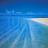 Richard Pearce art print