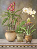 Jan Sacca art print