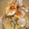 Dennis Carney art print