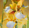 Dennis Carney art print