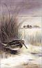 Archibald Thorburn art print