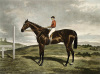 A.F. de Prades art print