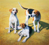 Gary Stinton art print