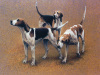 Gary Stinton art print