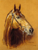 Susan Crawford art print