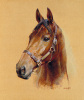 Susan Crawford art print