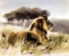 Wolfgang Weber art print