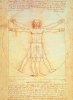 Leonardo da Vinci art print