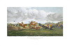 Sturgess art print