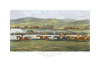 Sturgess art print
