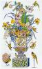 Jane McClean art print