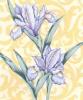 Suzanne Nicoll art print
