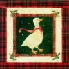 Jan Pashley art print