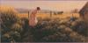 Robert Duncan art print