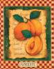 Jan Pashley art print