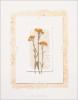 Deni Mechelle Newey art print